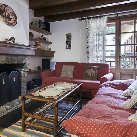 Duplex Ara Arties